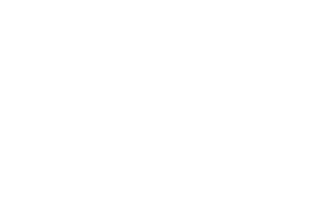 everfix logo white